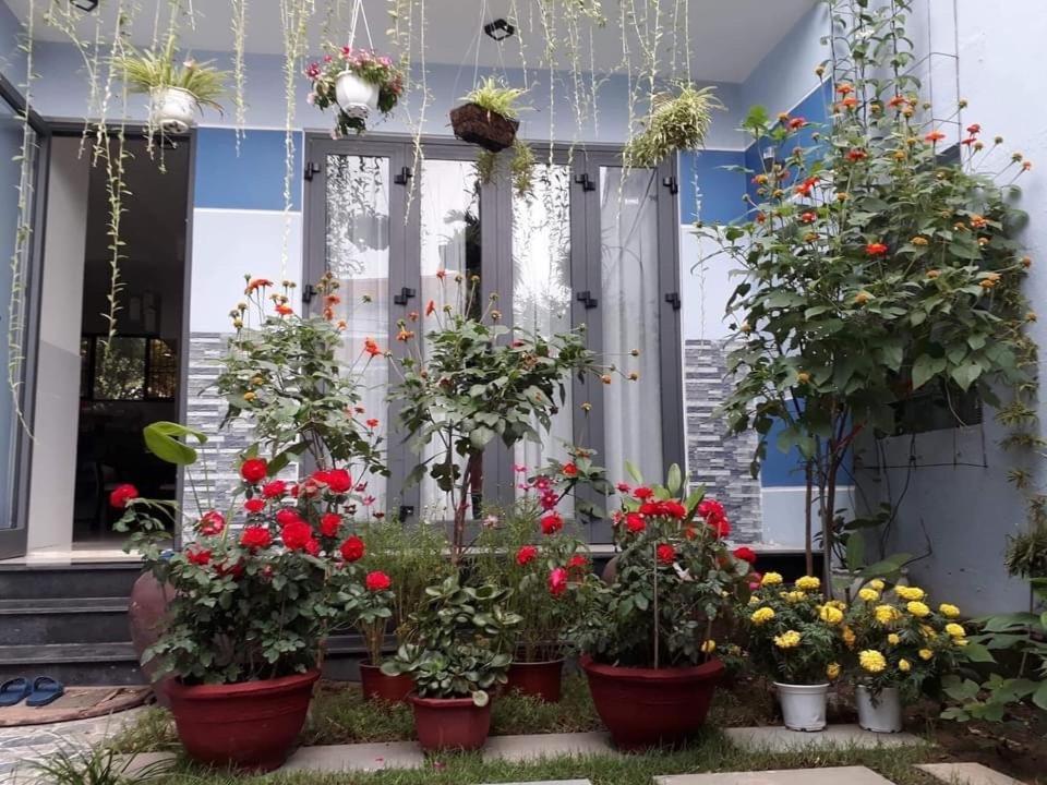 Cherry Garden Homestay 호이안 외부 사진