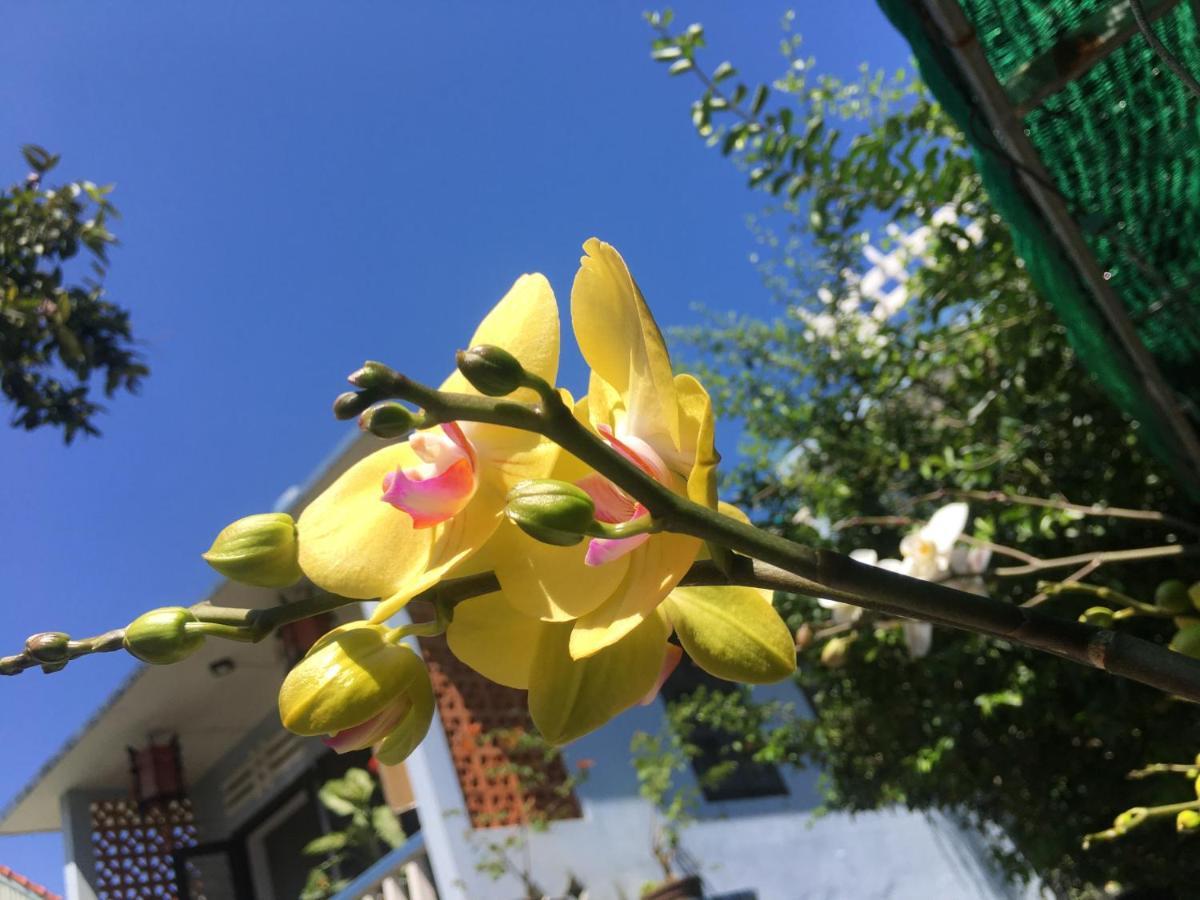Cherry Garden Homestay 호이안 외부 사진