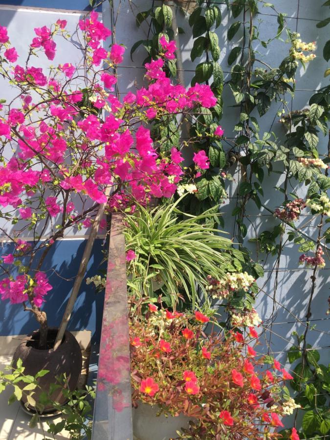 Cherry Garden Homestay 호이안 외부 사진