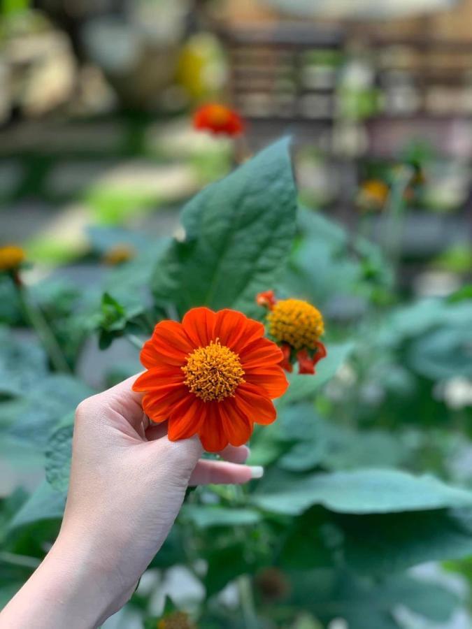 Cherry Garden Homestay 호이안 외부 사진