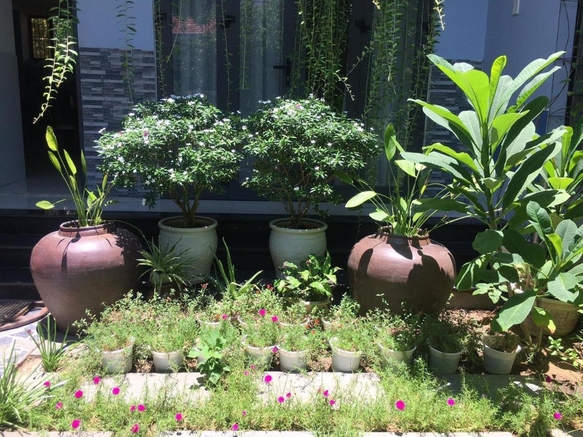 Cherry Garden Homestay 호이안 외부 사진