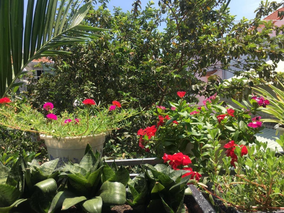 Cherry Garden Homestay 호이안 외부 사진