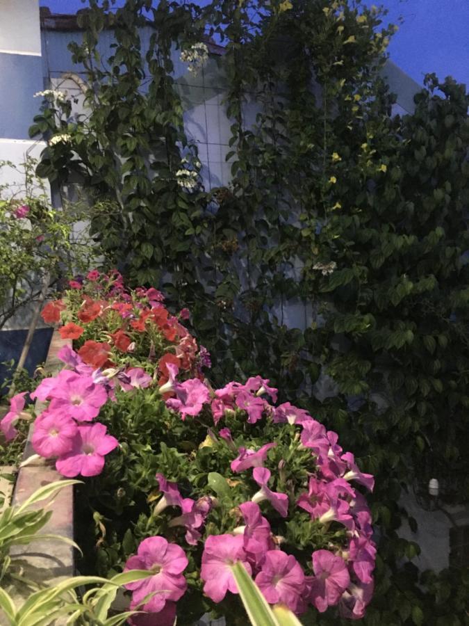 Cherry Garden Homestay 호이안 외부 사진