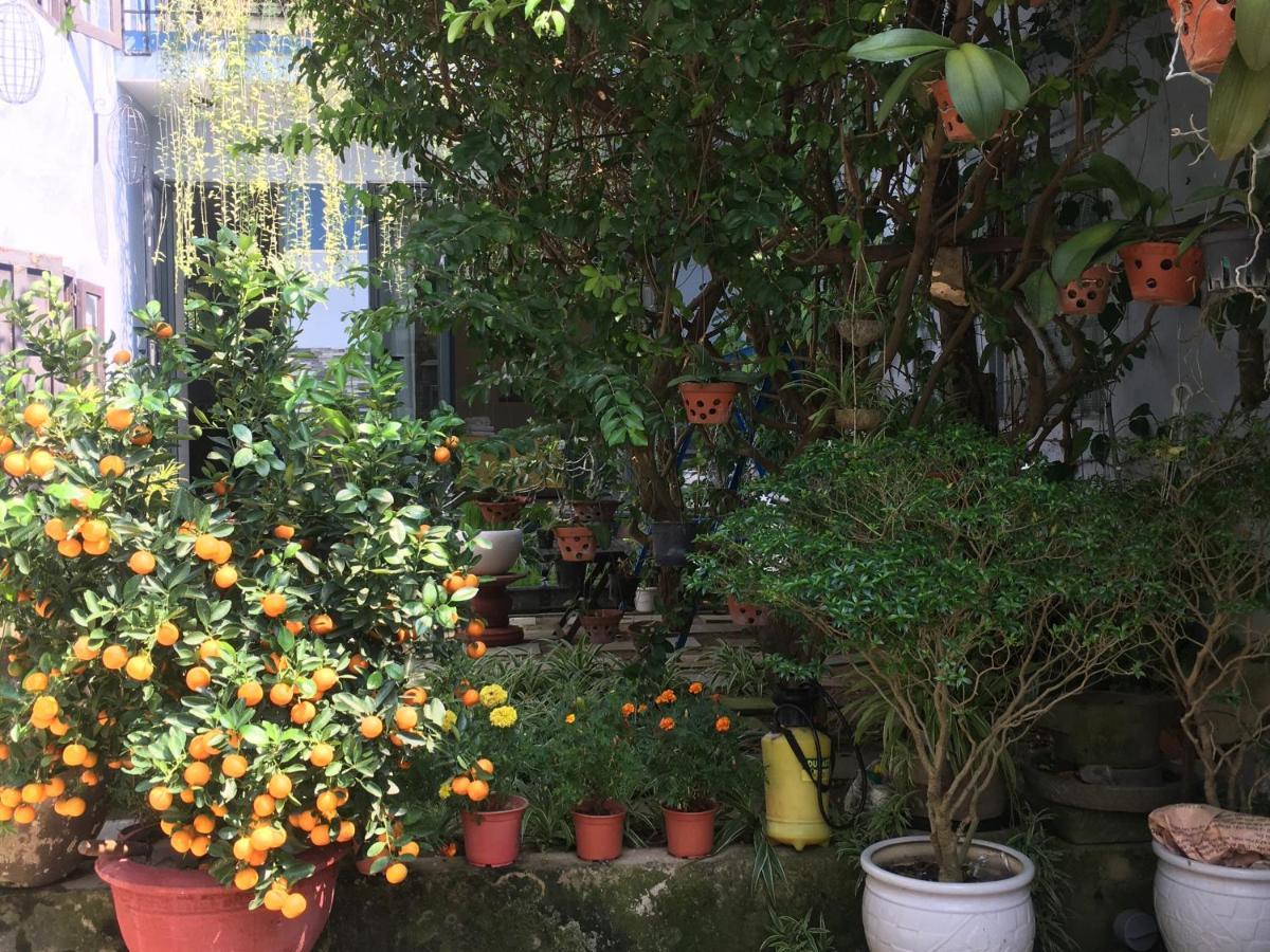 Cherry Garden Homestay 호이안 외부 사진